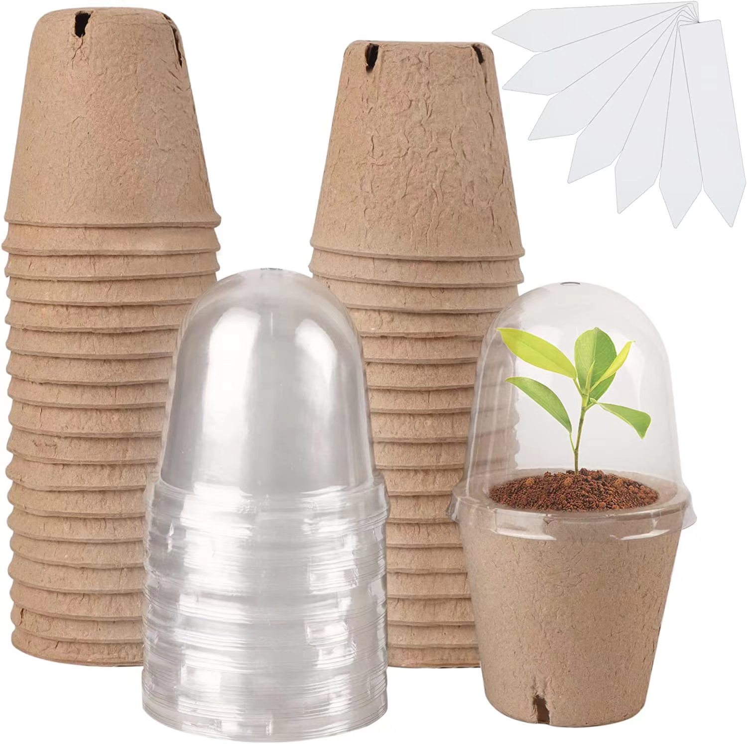 Indoor Herb Garden Kit - Biologisch afbreekbare turfpotten voor zaadjes, zaailingpotten