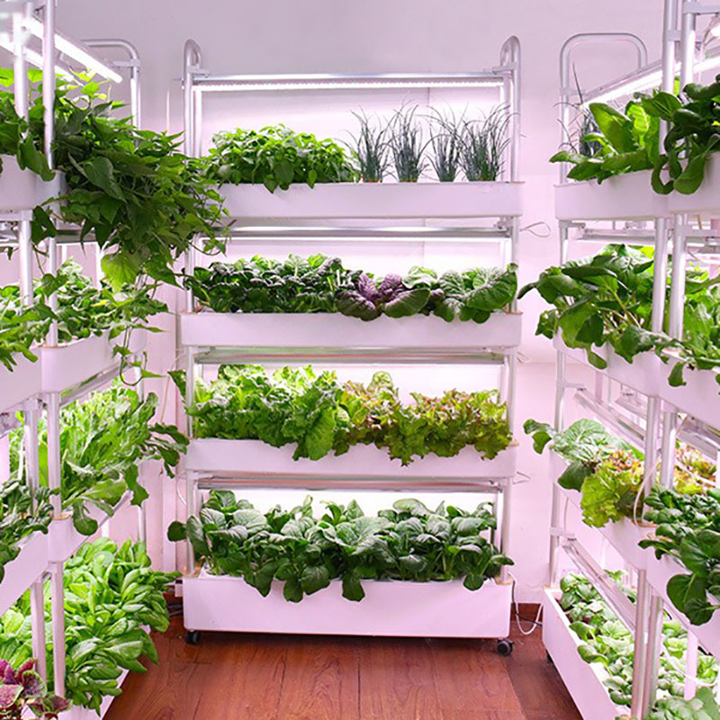 Smart Garden Box - Hydrocultuur kweeksysteem Verticaal Slim Binnen Groeiende