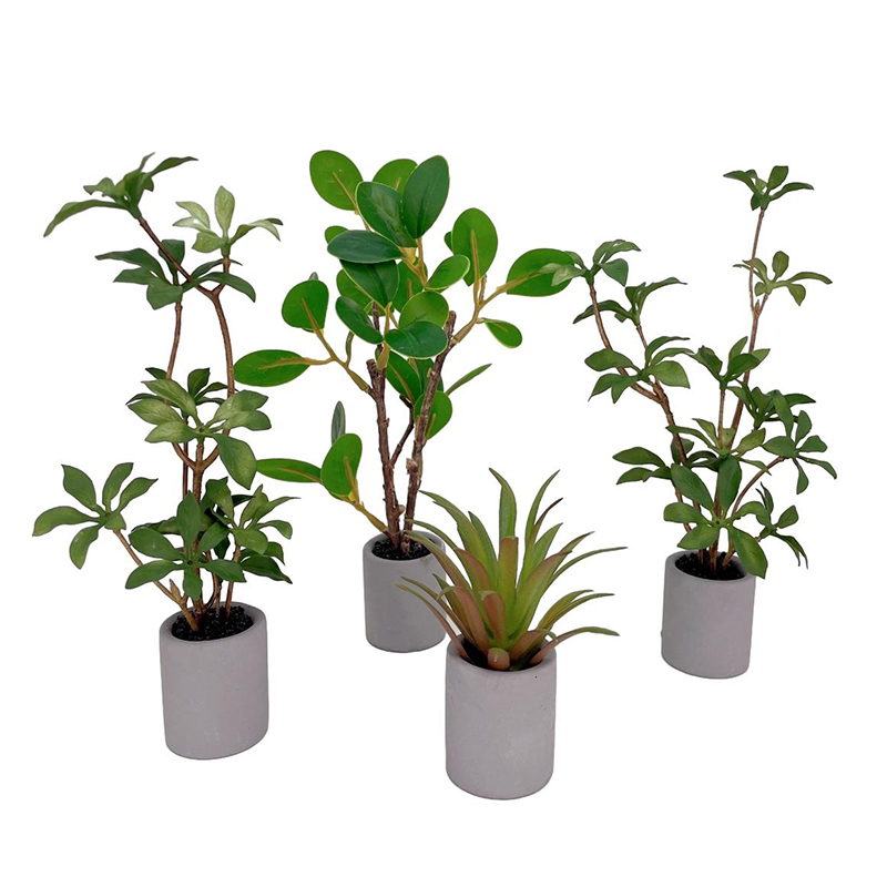 Smart Garden Mini - 1:6 Dollhouse Miniatuur Potplant Groenbladige Plant