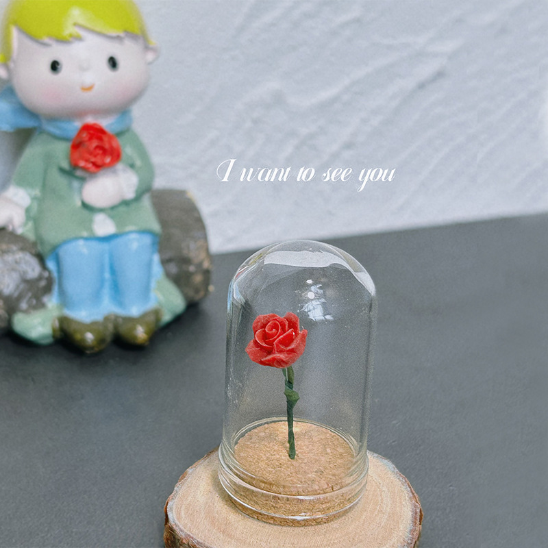 1/5 PCS Rose Under Glass Cloch - Smart Garden Mini recensie en prijs