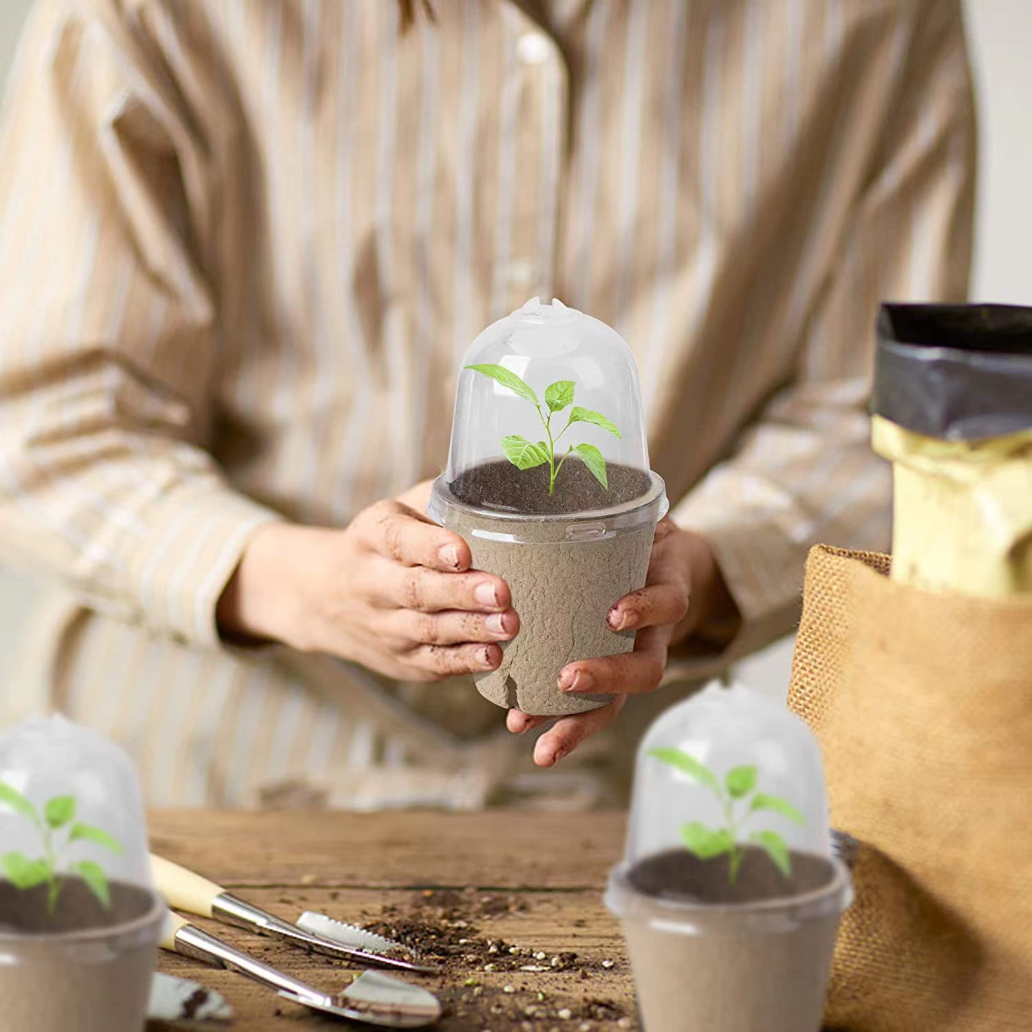 Biologisch afbreekbare turfpot - Indoor Herb Garden Kit recensie en prijs