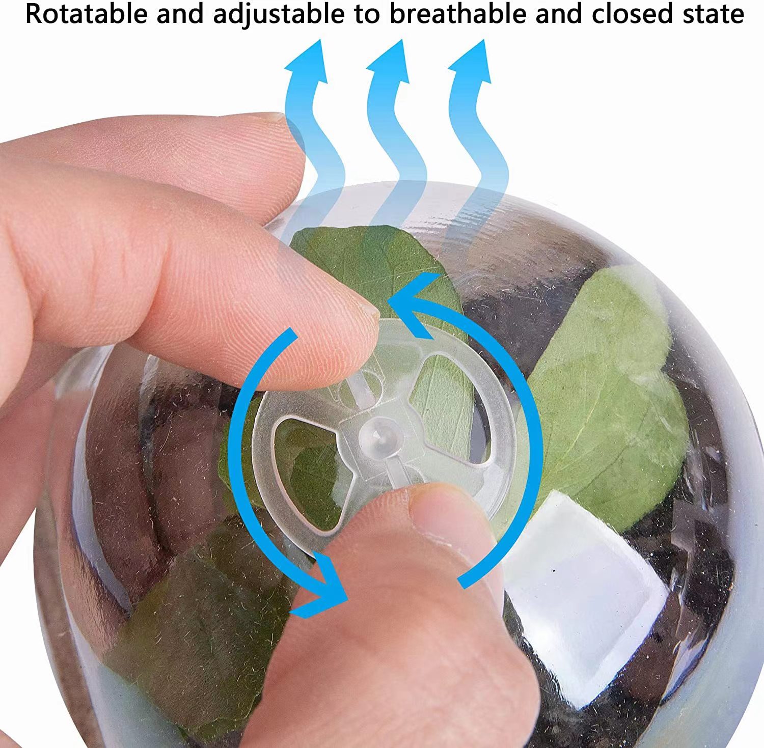 Biologisch afbreekbare turfpot - Indoor Herb Garden Kit recensie en prijs