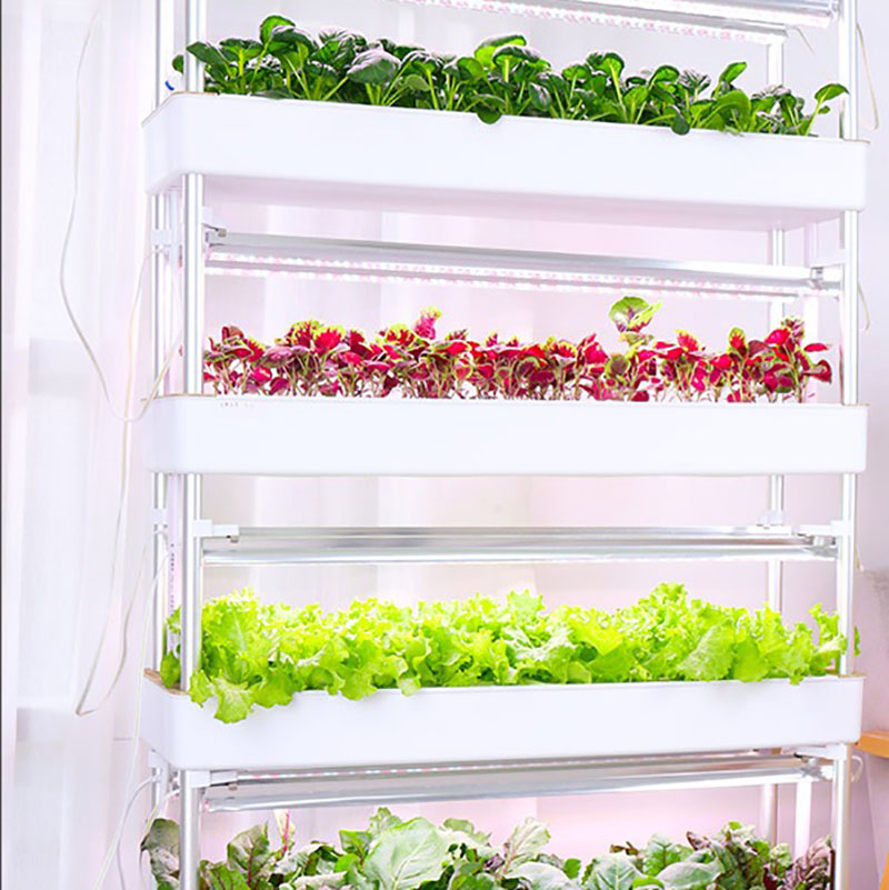 Hydrocultuur kweeksysteem Vert - Smart Garden Box recensie en prijs