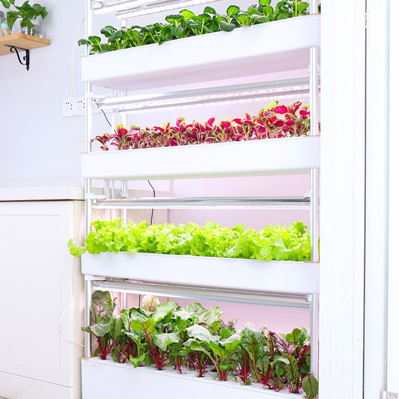 Hydrocultuur kweeksysteem Vert - Smart Garden Box recensie en prijs