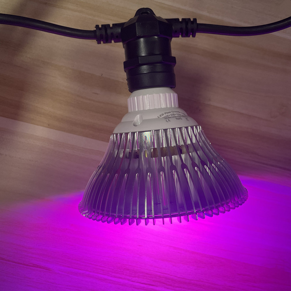 10M kabel LED-slinger van comm - Smart Garden Lamp recensie en prijs