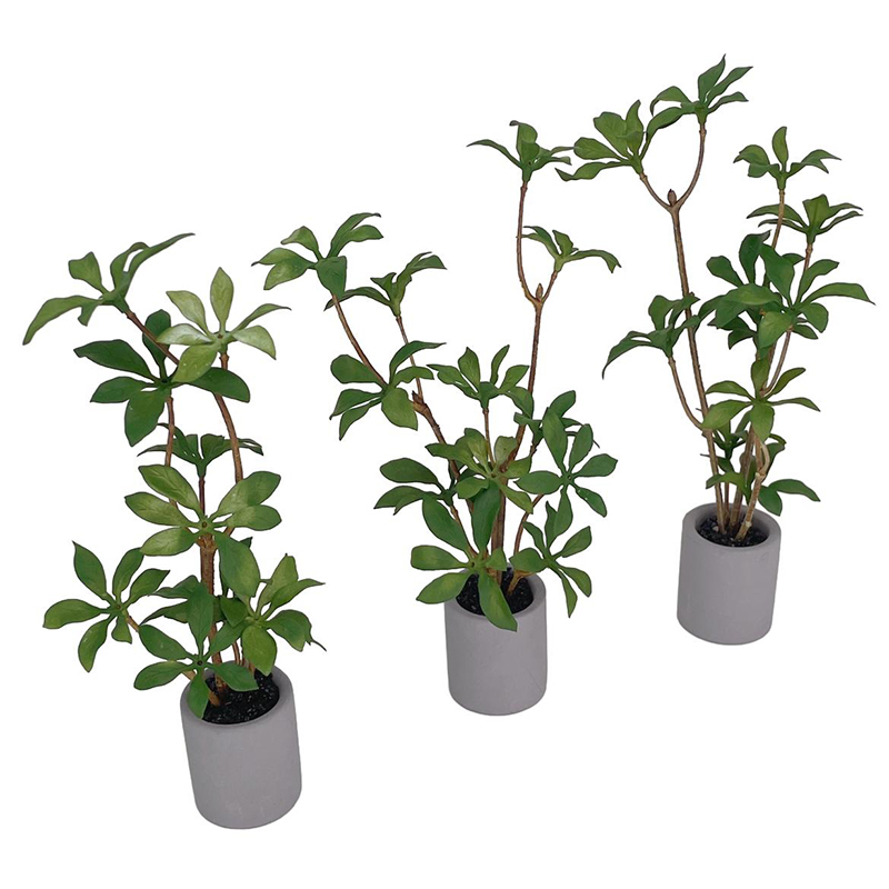 1:6 Dollhouse Miniatuur Potpla - Smart Garden Mini recensie en prijs