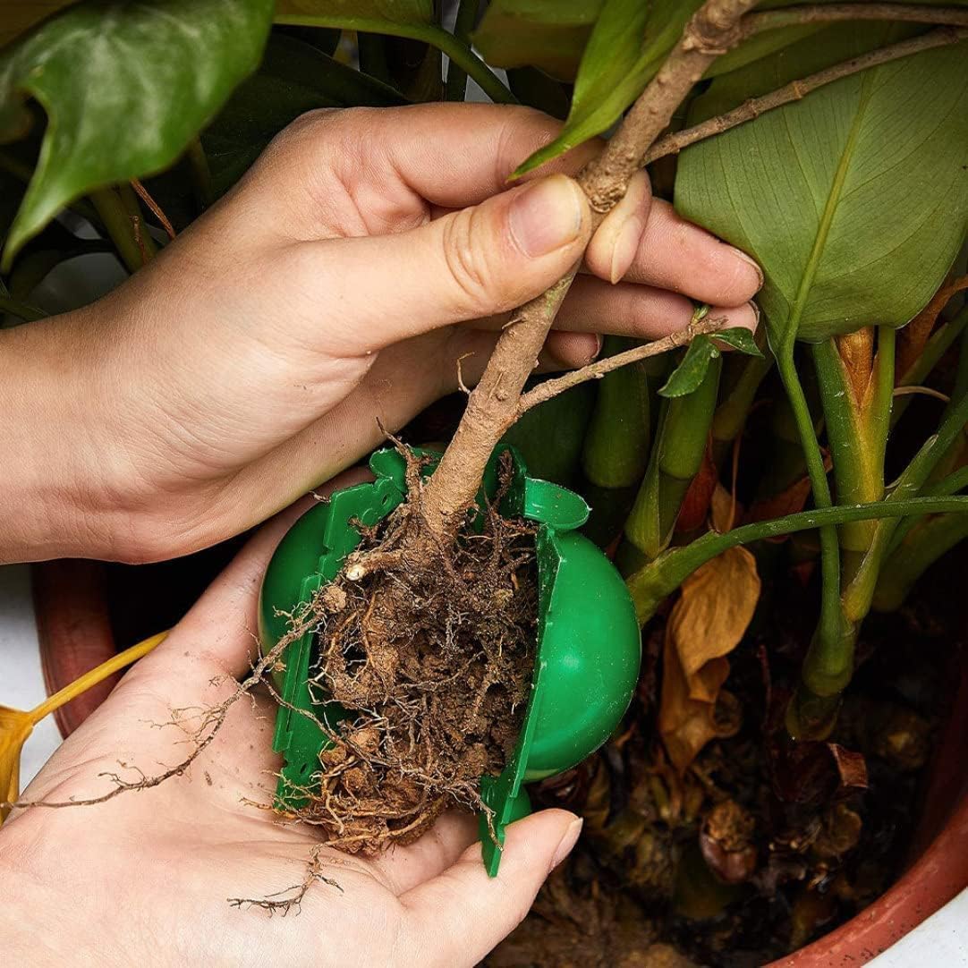 Herbruikbare plantenwortelbal  - Smart Garden Box recensie en prijs