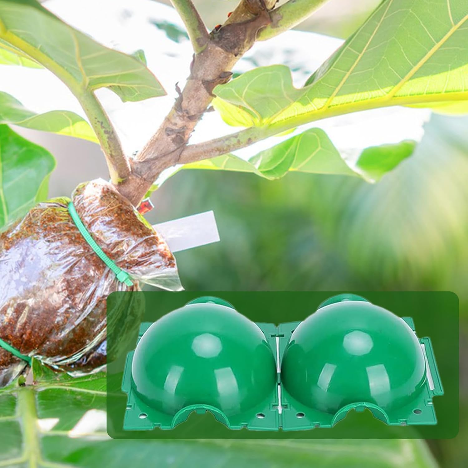 Herbruikbare plantenwortelbal  - Smart Garden Box recensie en prijs