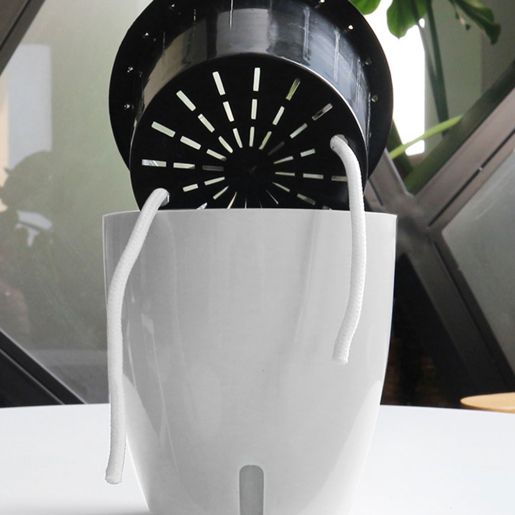 Witte draagbare en milieuvrien - Indoor Herb Garden Kit recensie en prijs