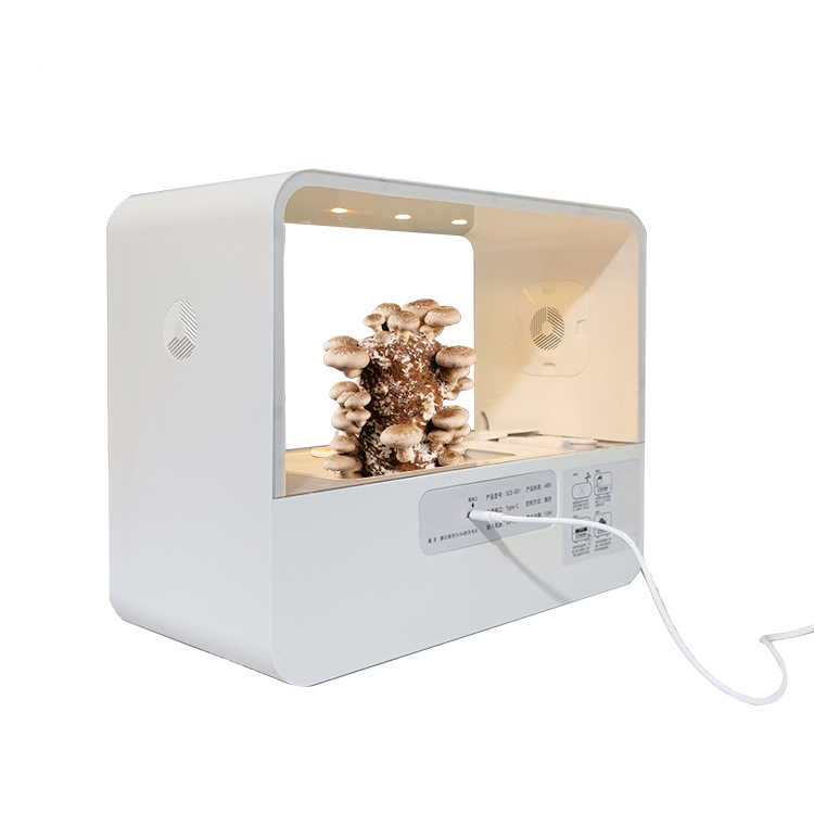 Nieuw ontwerp Mini Paddestoele - Smart Garden Design recensie en prijs
